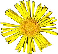 Solblom Minilager
